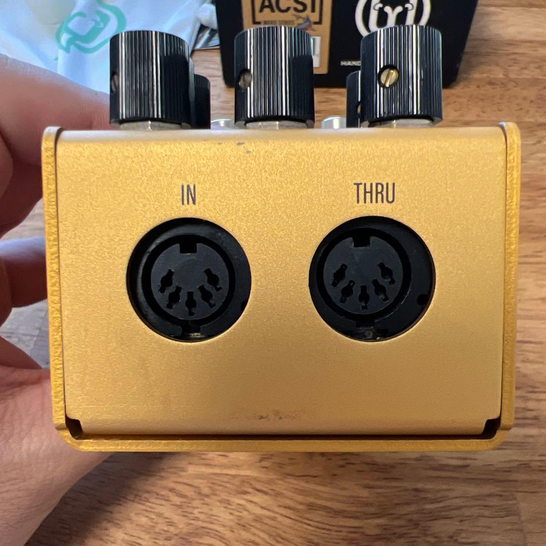 ギター Walrus Audio ACS1