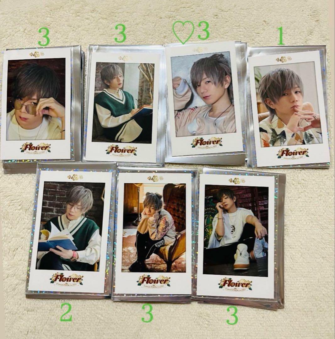 浦島坂田船 うらたぬきさん 缶バッジ・フォトカード・グッズセット