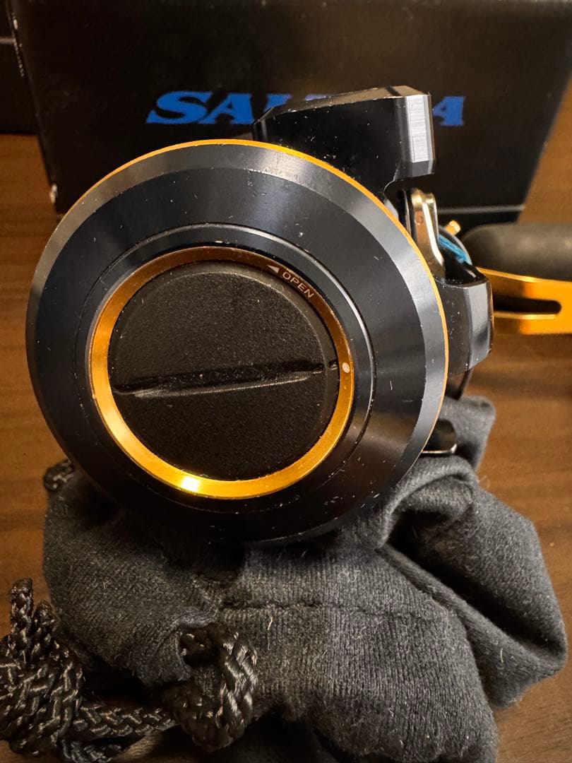 DAIWA ソルティガ IC300 HL-SJ