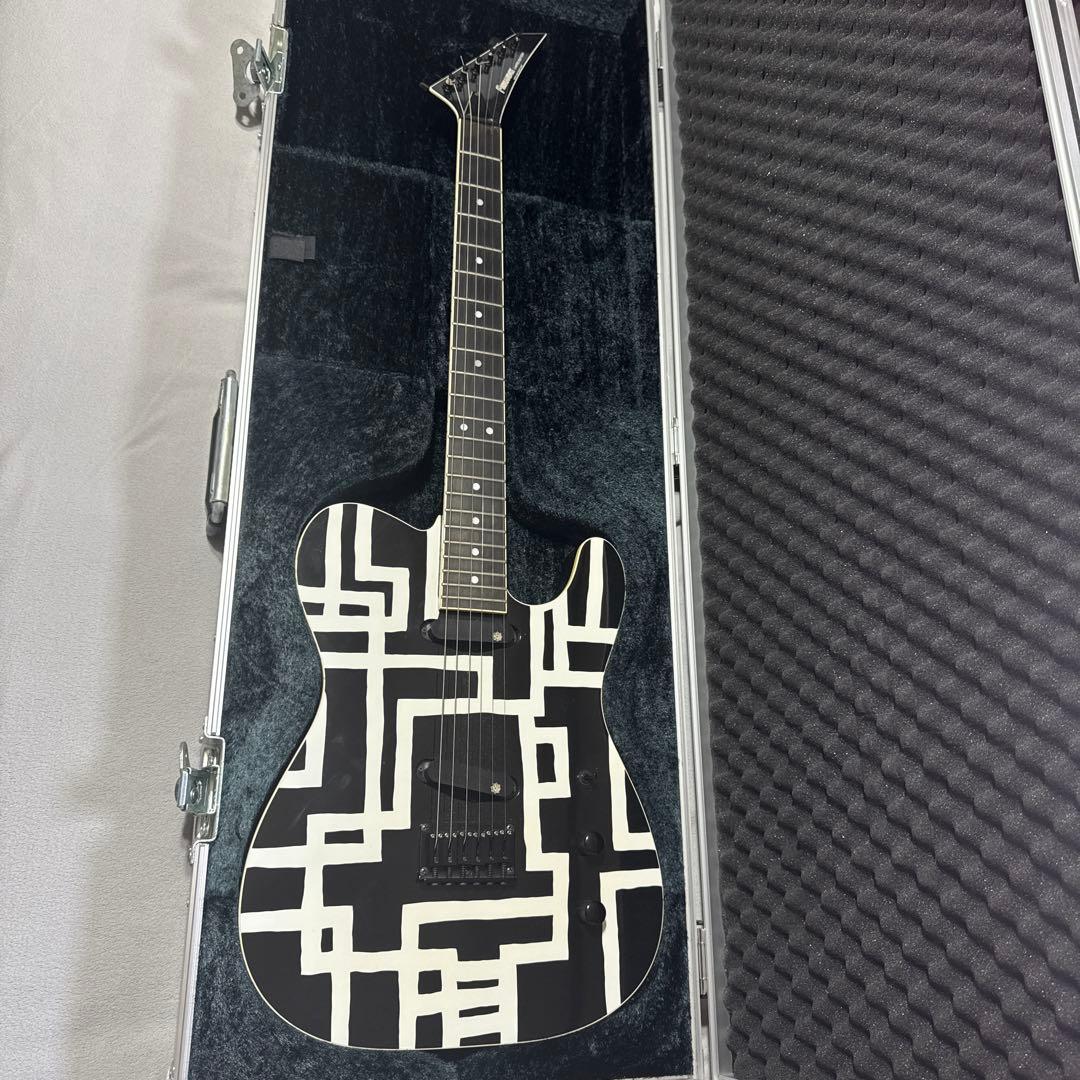 FERNANDES TE−380HT 布袋プロモデル