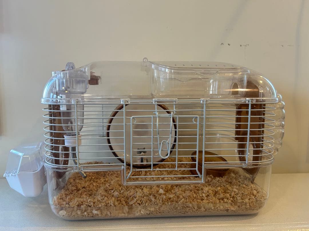 小動物用透明ケージ 中型 付属品付き、餌、トイレの砂、おがくず付き