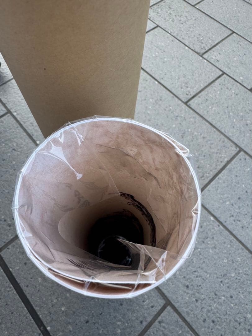 GUNS N’ROSES 2025 ジャパンツアーライブ会場限定 ポスター