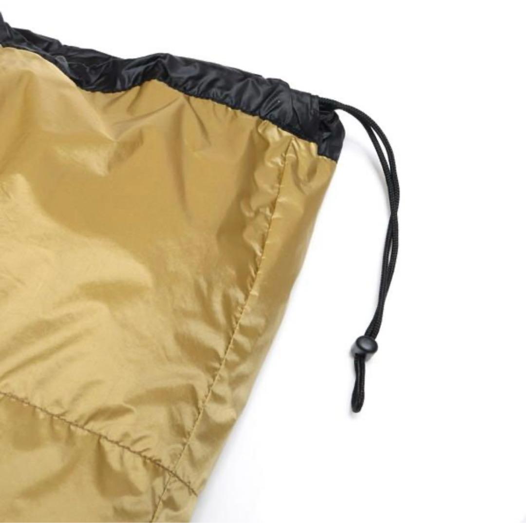 オーロラライト封筒型 600DX コヨーテ レギュラー4938101099899