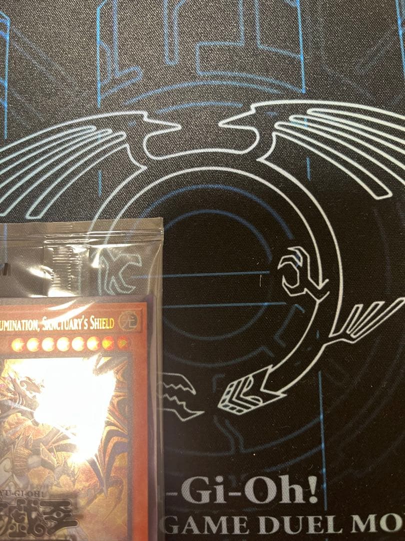 日本選手権　プロモ　値下げ不可