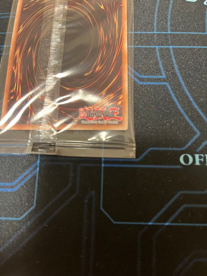 日本選手権　プロモ　値下げ不可