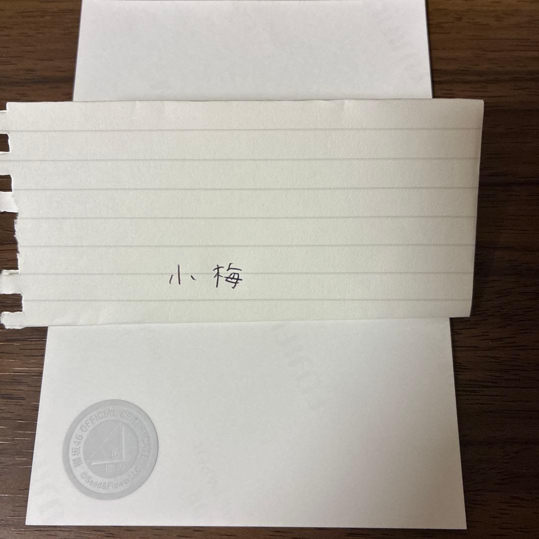 藤吉夏鈴 サイン入り生写真