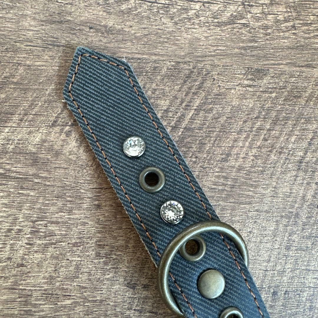 バディベルト　BB ブルージーン5号　ハーネス フルクリスタル　アクセントリード