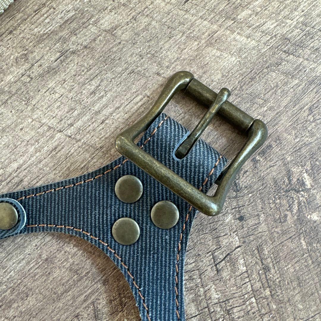 バディベルト　BB ブルージーン5号　ハーネス フルクリスタル　アクセントリード