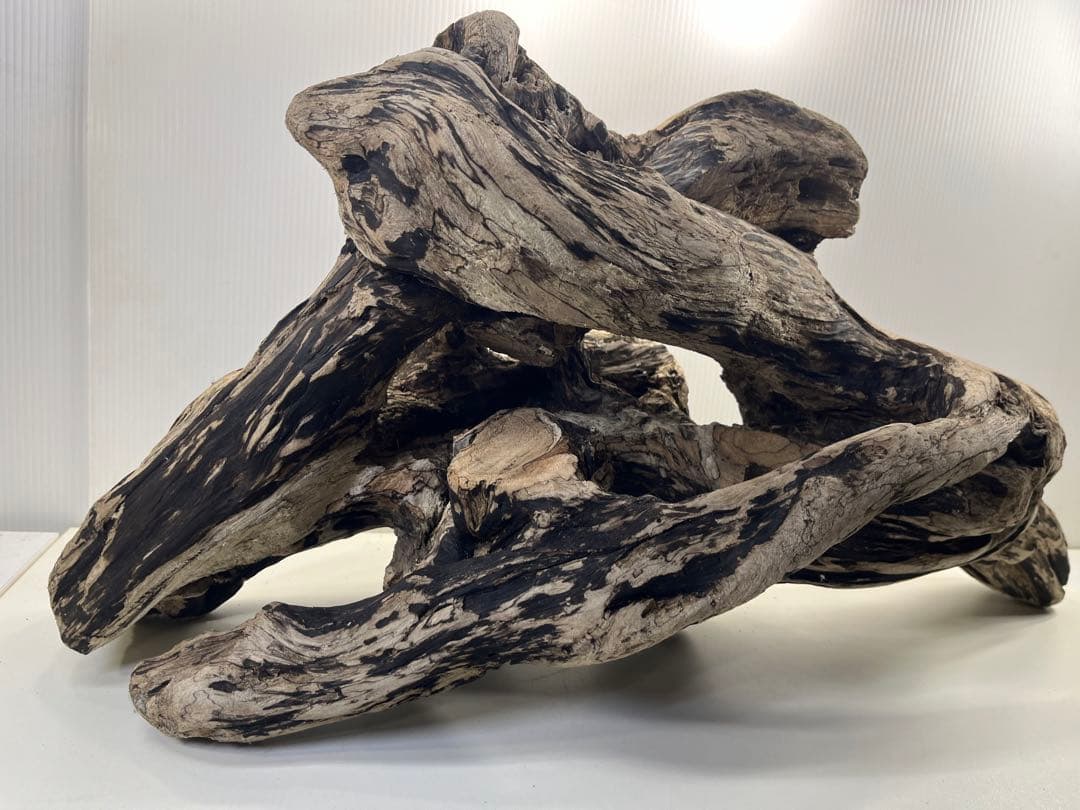 m46特大流木 大型流木 アク抜き済み 爬虫類シェルター レイアウト用 隠れ家