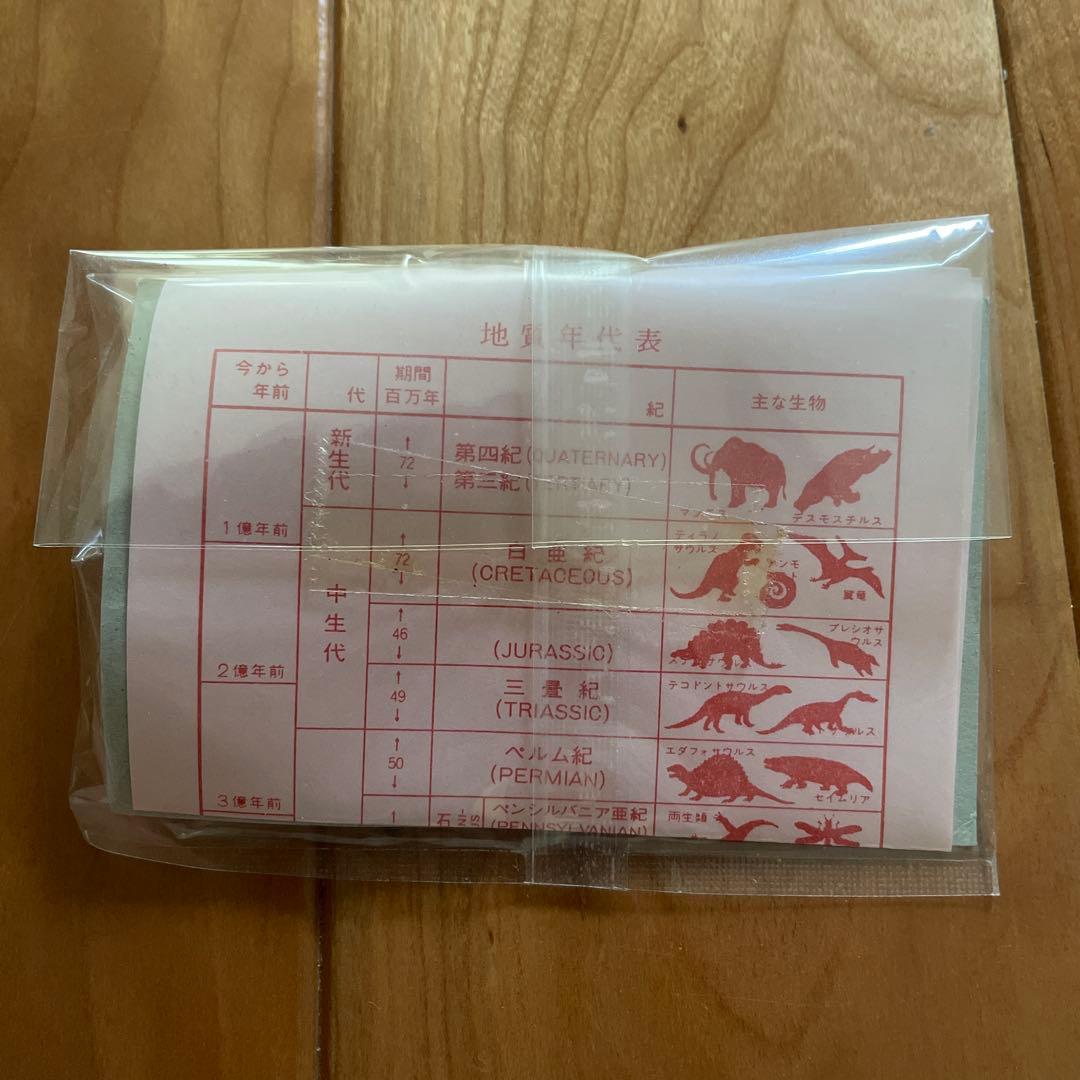 三葉虫　アンモナイト　サメの歯　化石