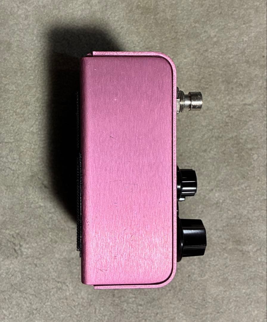 Strymon DIG デジタルディレイ