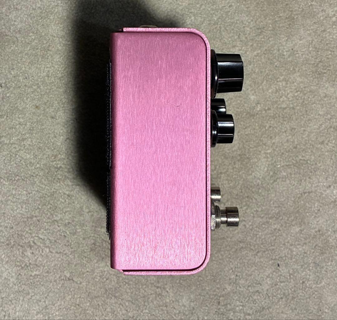 Strymon DIG デジタルディレイ