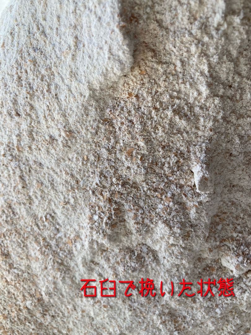 自然栽培小麦で作った挽きたて小麦粉 2kg シロガネコムギ