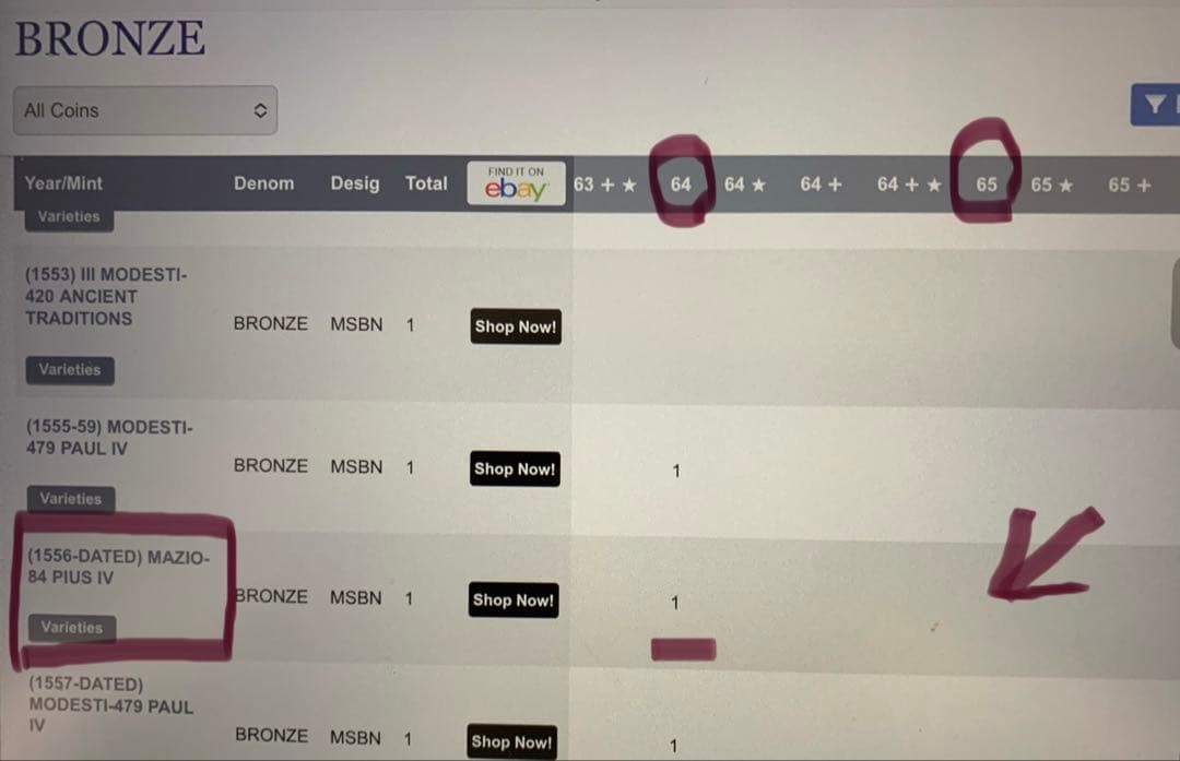 廉価出品❗️TOP PO❗️教皇ピウス3世 ブロンズメダル