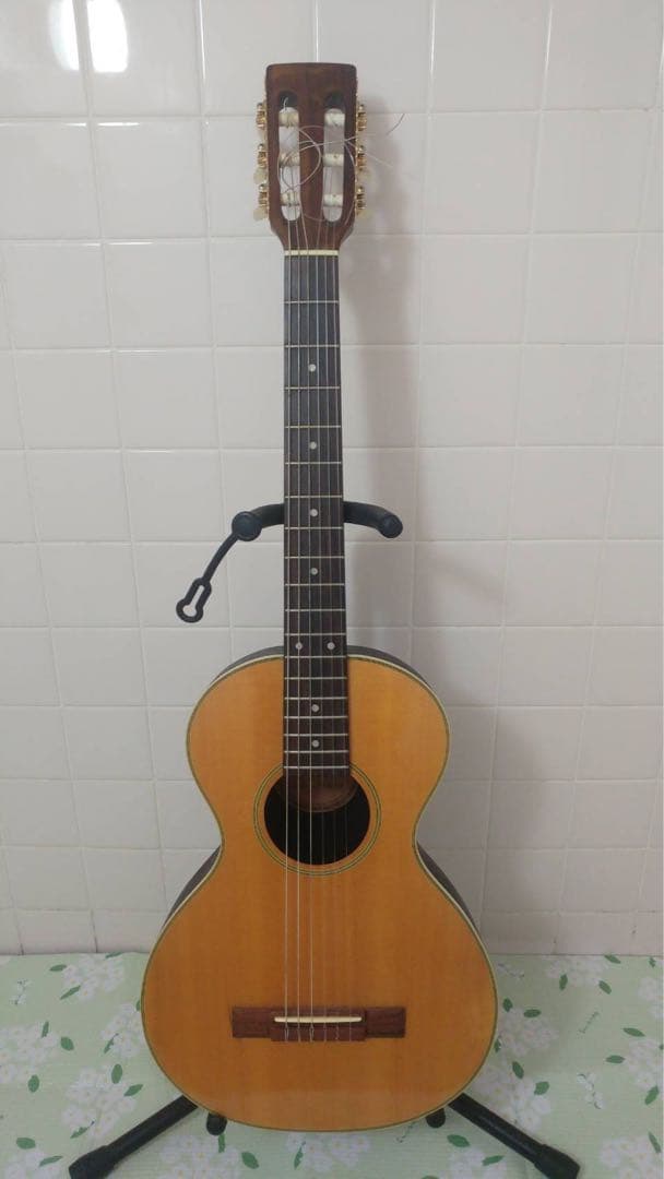 ANBOY REG20N ミニ アコースティックギター クラシック ガット 軽量