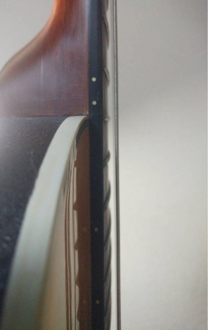 ANBOY REG20N ミニ アコースティックギター クラシック ガット 軽量