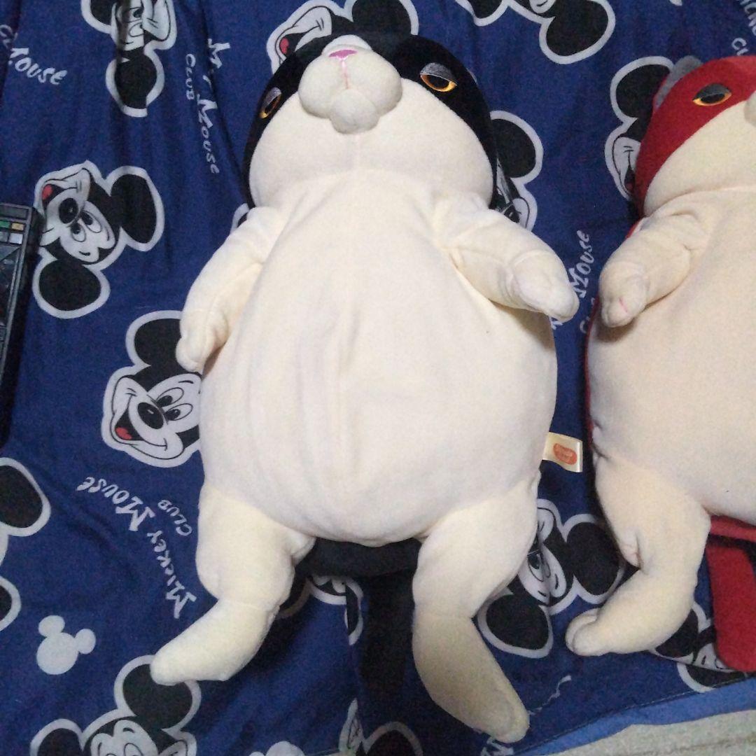 赤字なので此以上は下げれません全部値下げしました高橋ヒロムぬいぐるみ ２匹セット