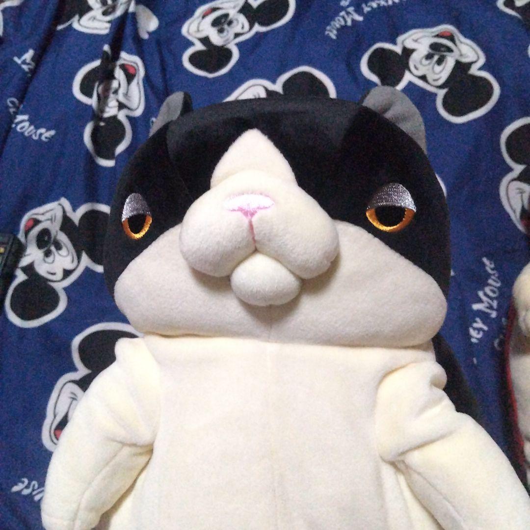 赤字なので此以上は下げれません全部値下げしました高橋ヒロムぬいぐるみ ２匹セット