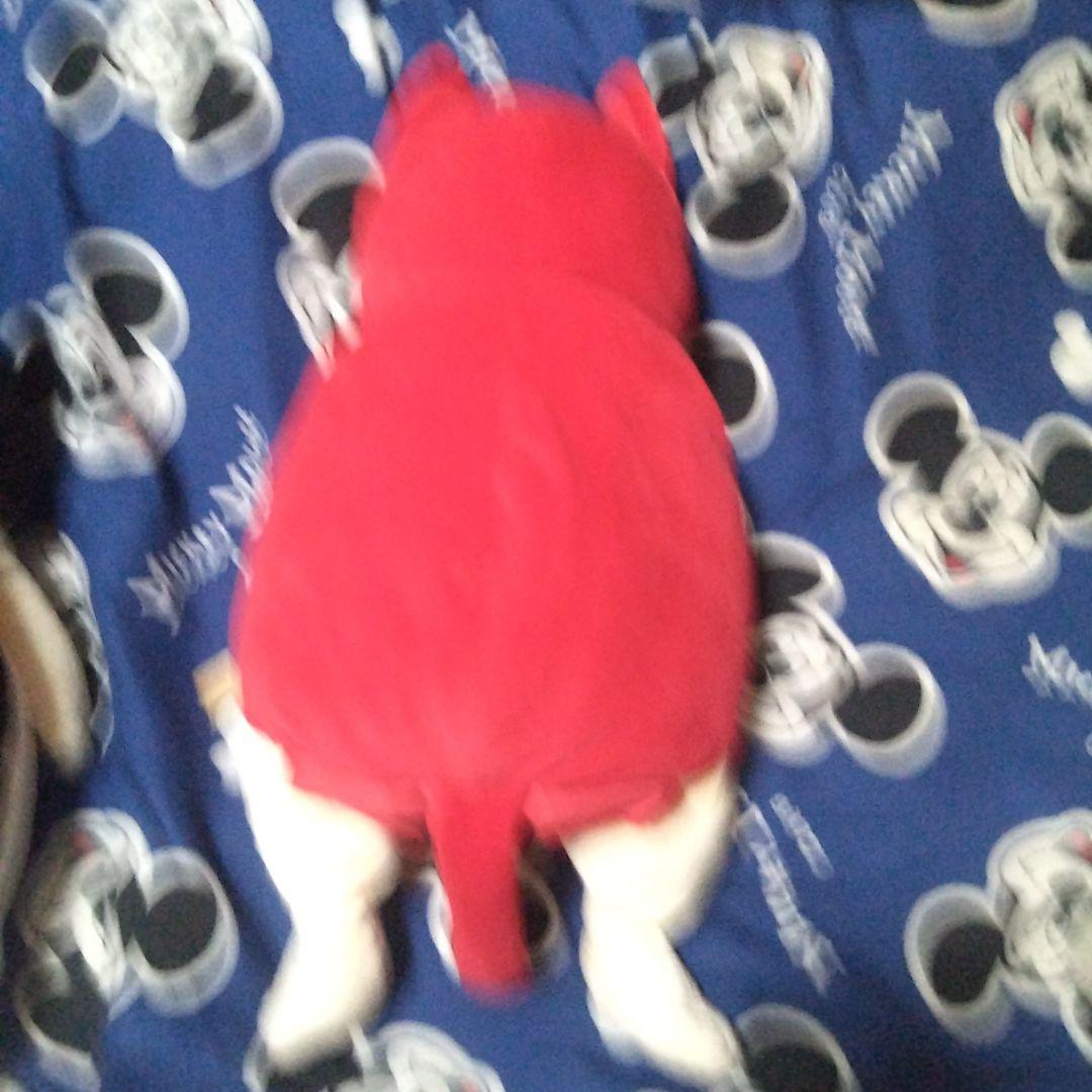 赤字なので此以上は下げれません全部値下げしました高橋ヒロムぬいぐるみ ２匹セット