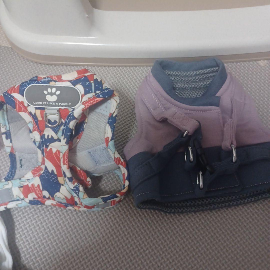 子犬セット　Wi-Fiペットカメラおまけ