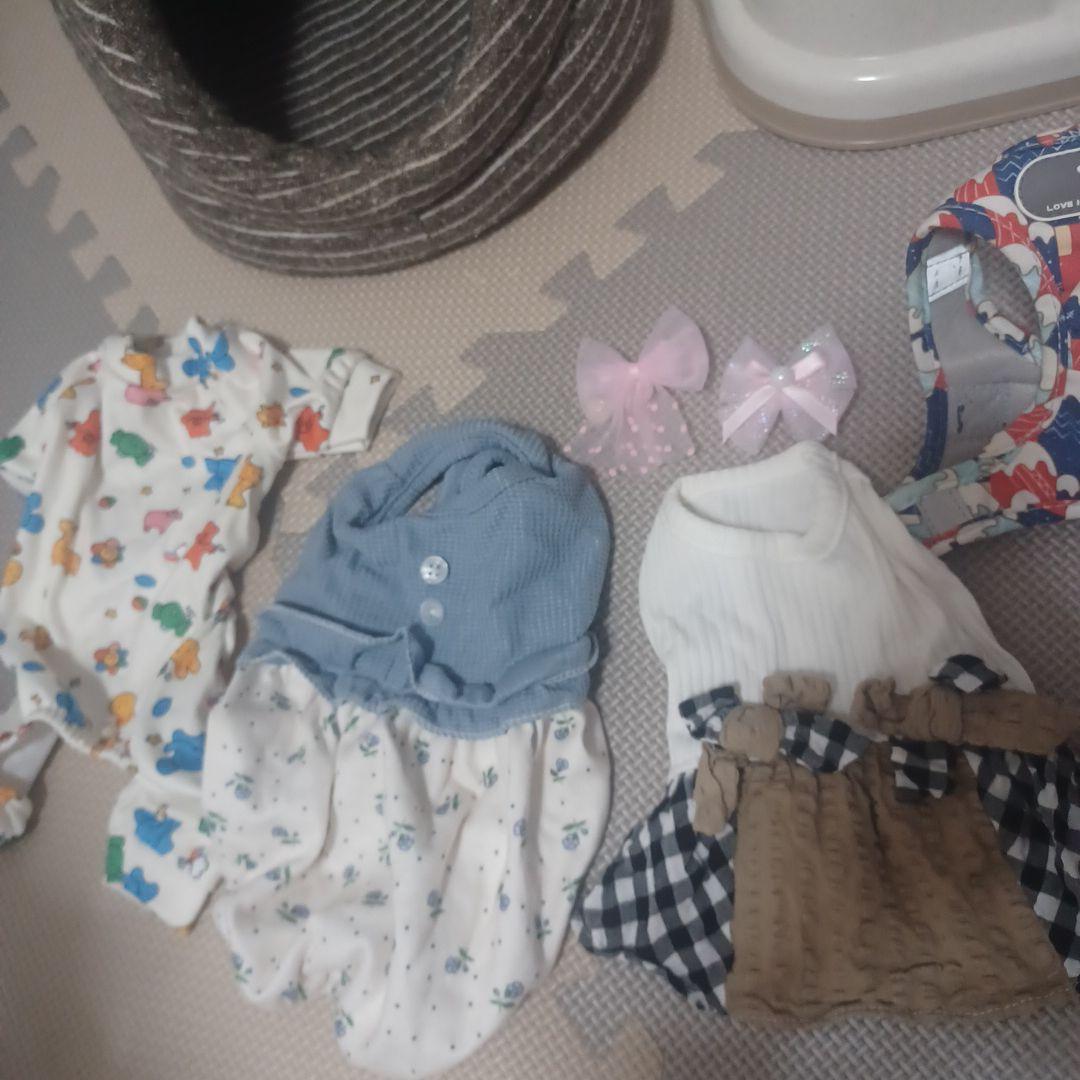 子犬セット　Wi-Fiペットカメラおまけ