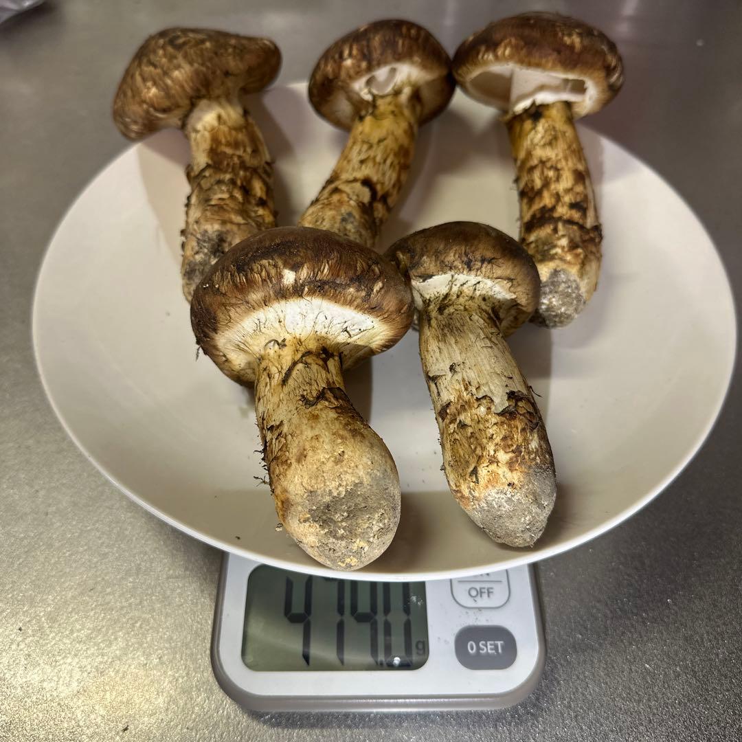 ミキちゃ3点おまとめ