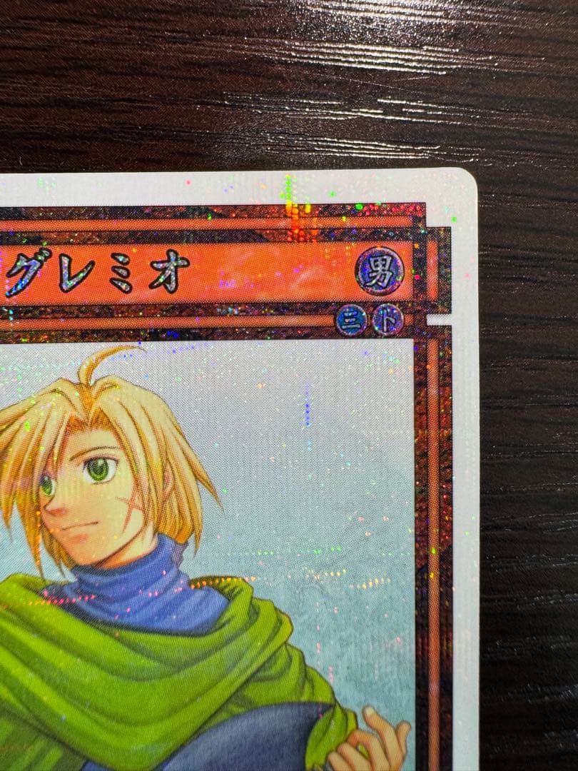 幻想水滸伝 カードストーリーズ ラディアンススターパラレル No.213グレミオ