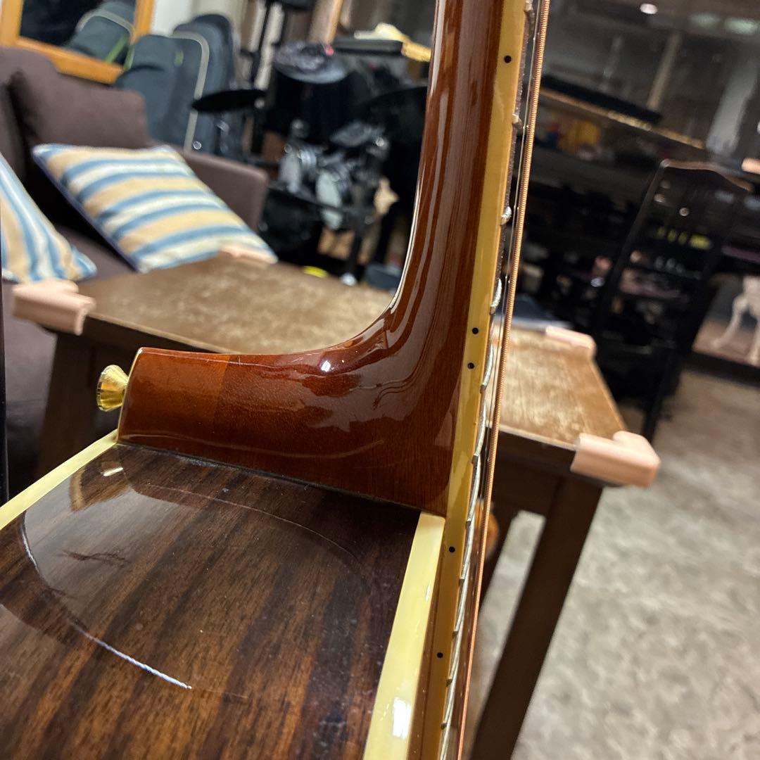 Greg Bennett D-8 アコースティックギター