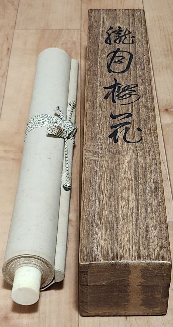 【朧月夜桜図】今井景樹 2702 おぼろ月 さくら 共箱 肉筆 掛け軸