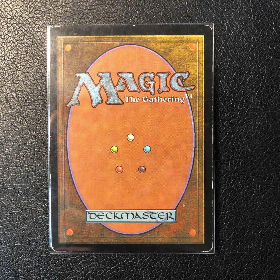 MTG セラの聖域 1枚 日本語 ①