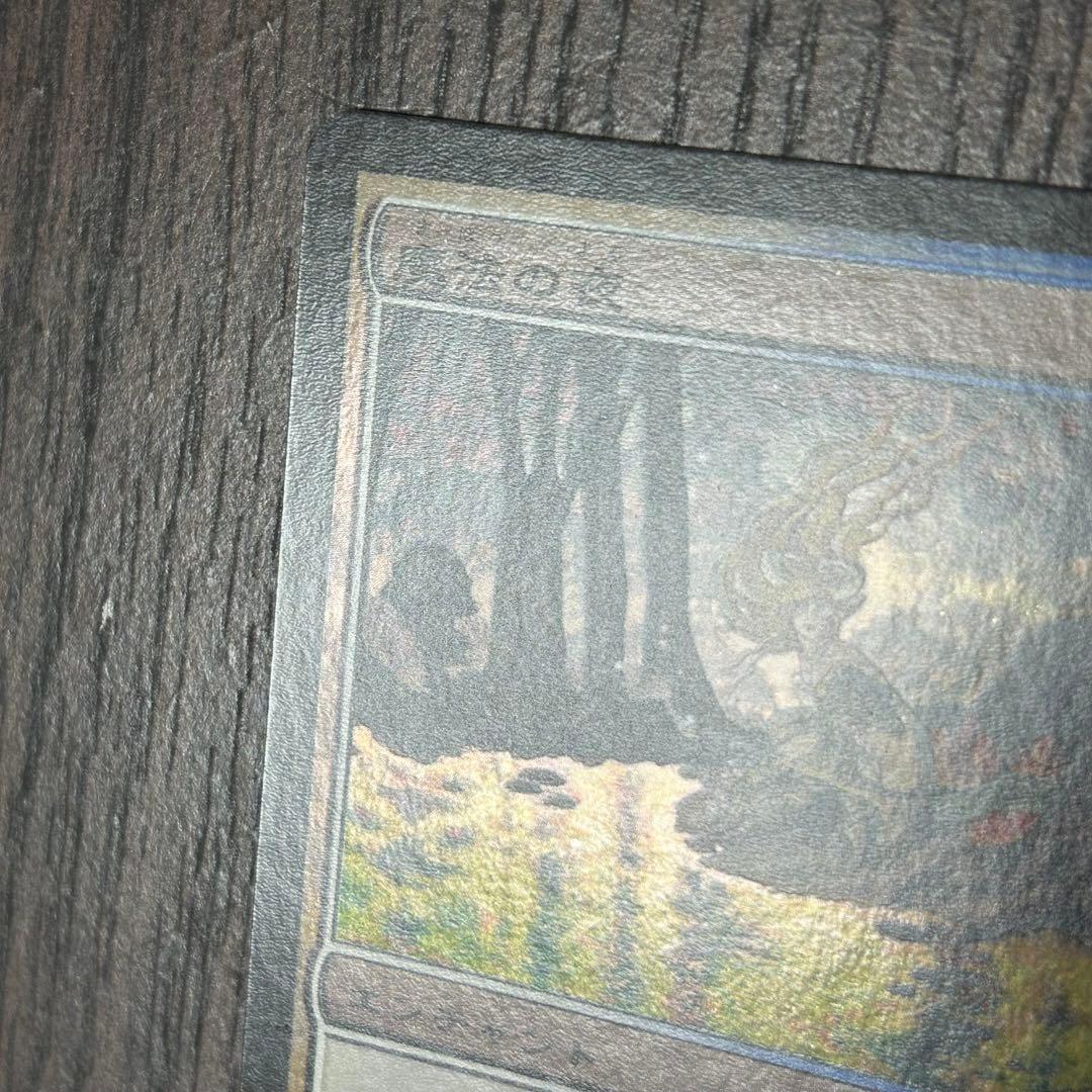 日本語Foil《魔法の夜/Enchanted Evening》SHM 初版