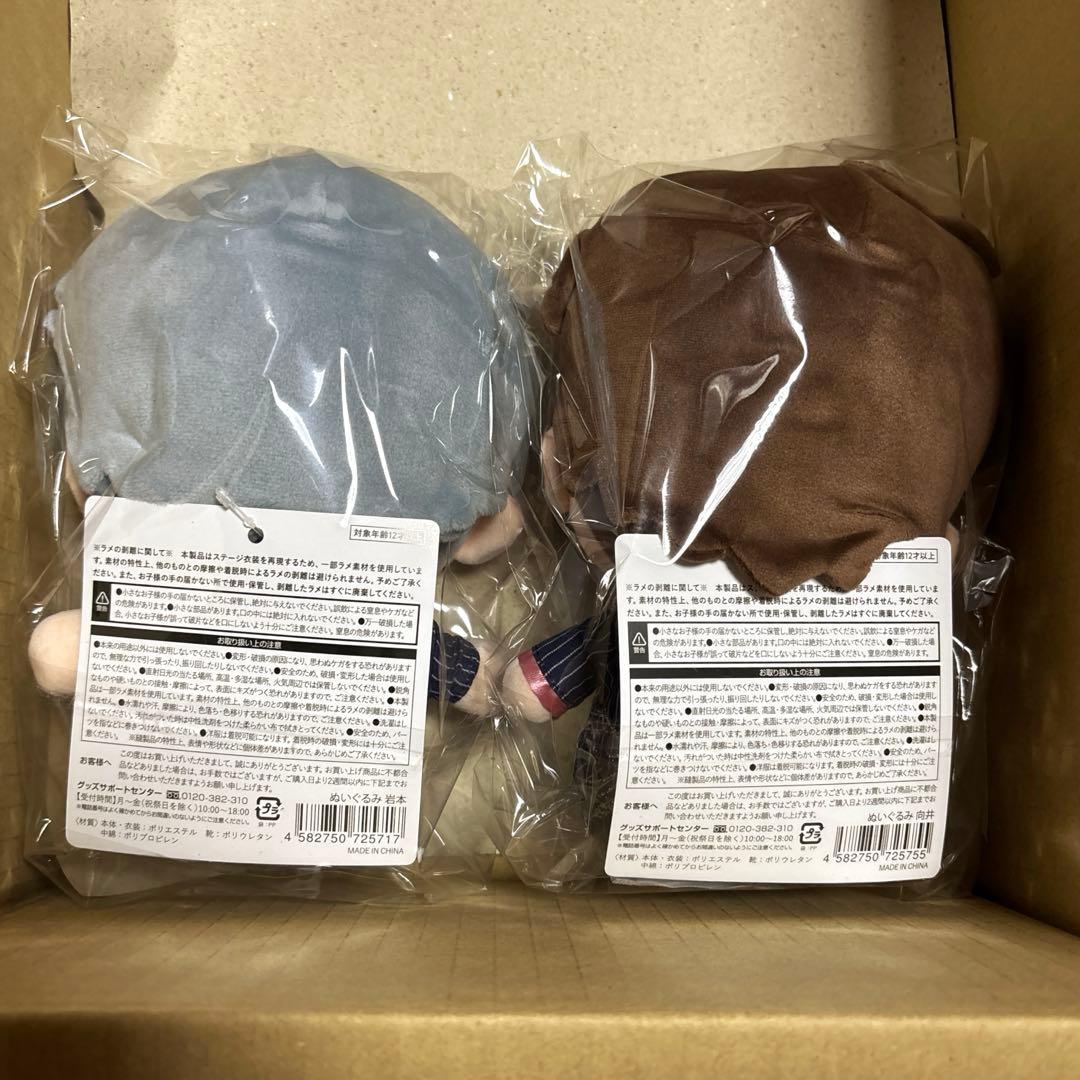  Man すのチルBIGぬいぐるみ 【岩本照&向井康二】セット