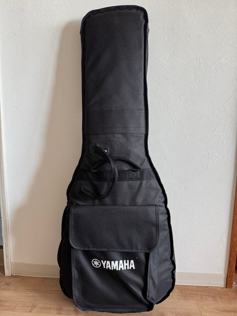 サロ　Fender TELECASTER