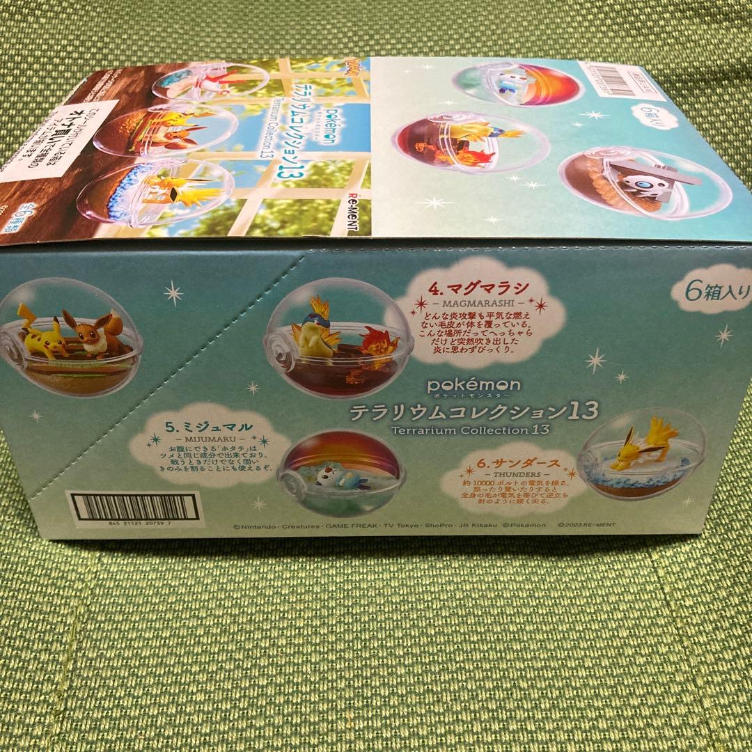 最終価格ポケモン テラリウムコレクション2種セット+アクリルキーホルダー