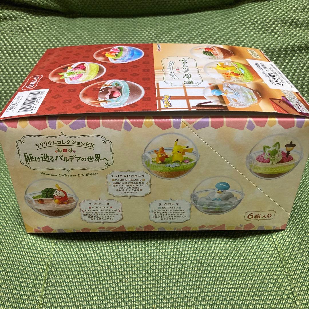 最終価格ポケモン テラリウムコレクション2種セット+アクリルキーホルダー