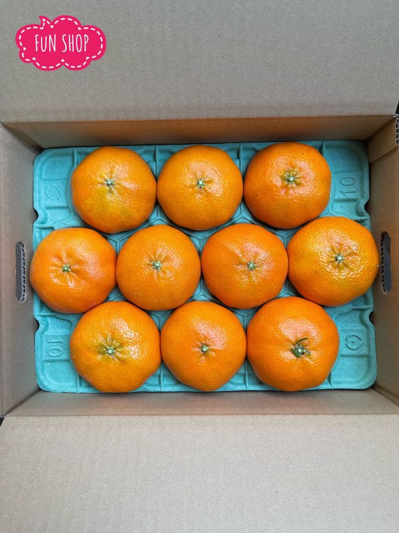 【甘平・高級品→お年明け1月中旬から発送】