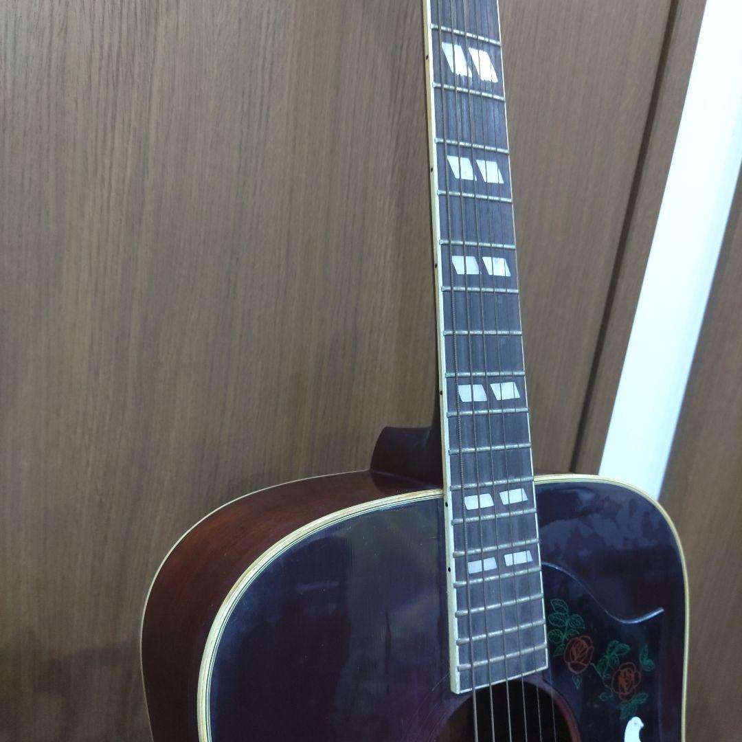 VMPD7-94-3 Morris アコースティックギター WD-25