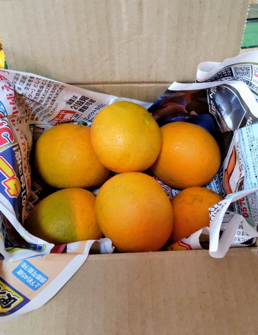 採れたて夏蜜柑柚子セット「1299円‼️」