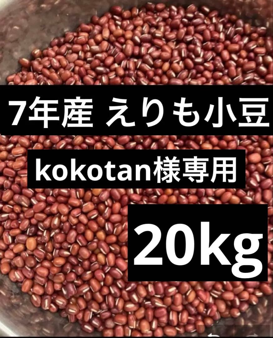野菜 kokotan
