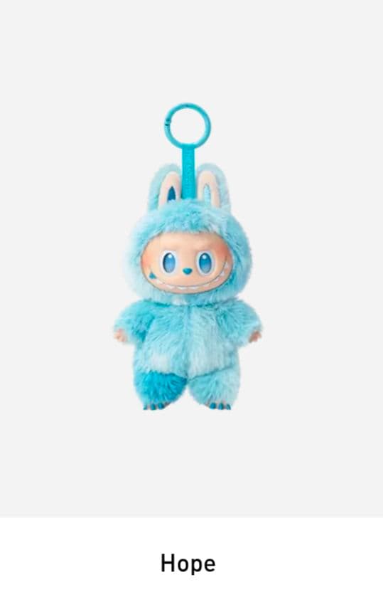 カメリア☆美品をお安く☆さま　専用　LABUBU