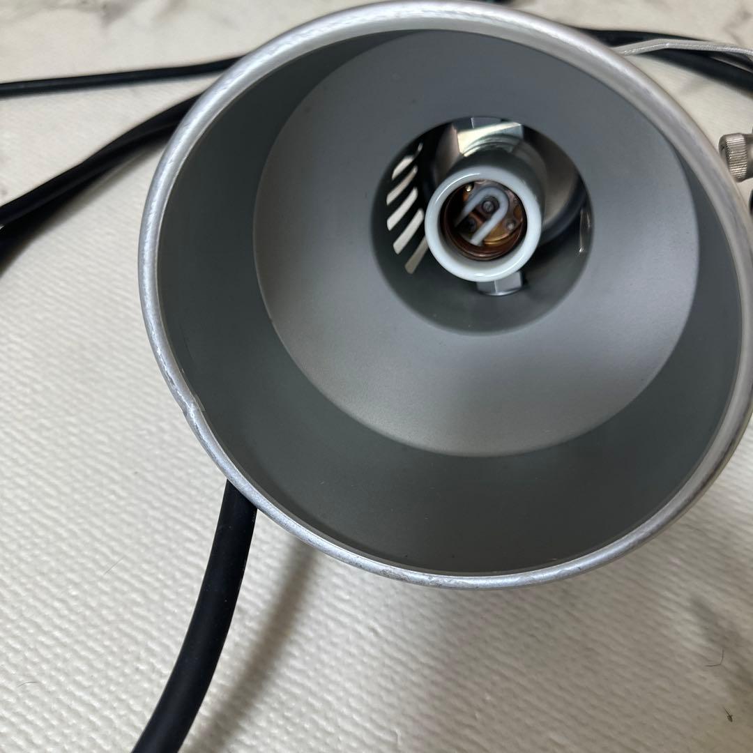 ソラーレ 爬虫類 メタハラ