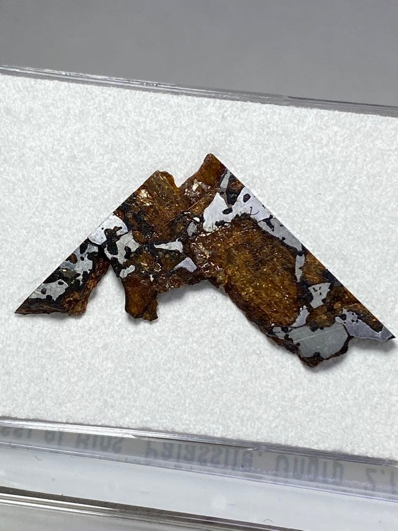 パラサイト隕石　Hassi el Biod 002　スライス　ケース　証明書付き