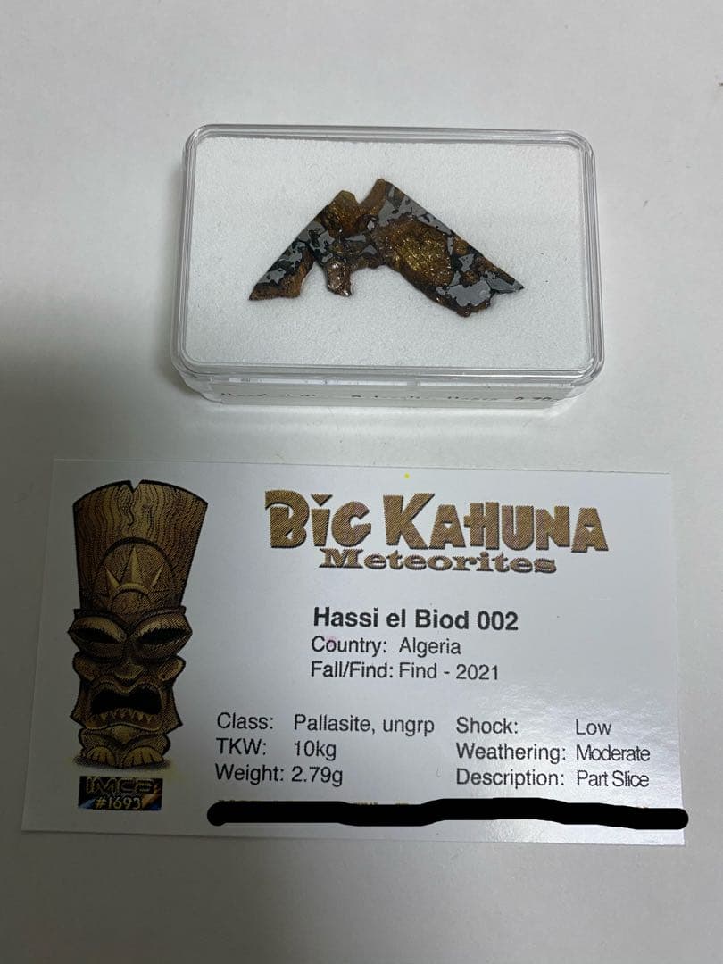 パラサイト隕石　Hassi el Biod 002　スライス　ケース　証明書付き