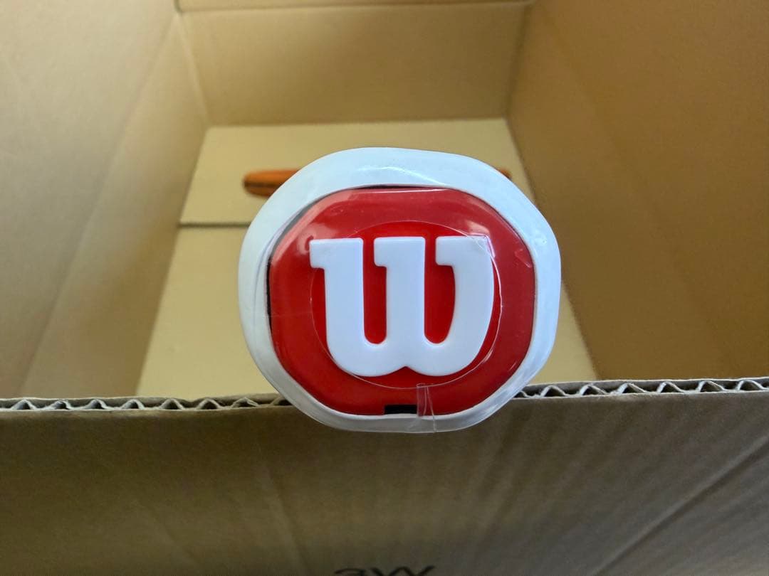 ラケット(硬式用) BLADE 98 blade98 V9.0 16X19 RG 2025