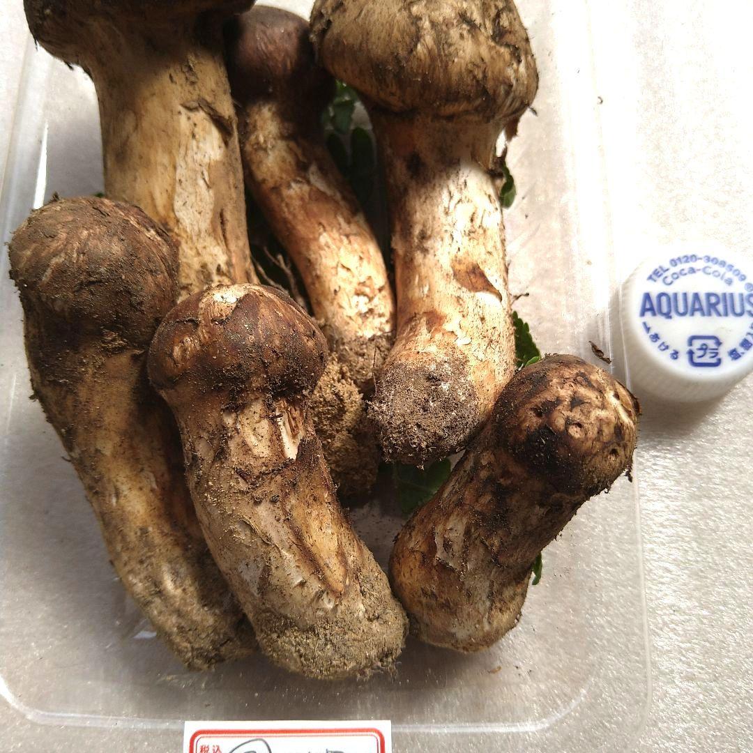 南信州産松茸165g（パック込み