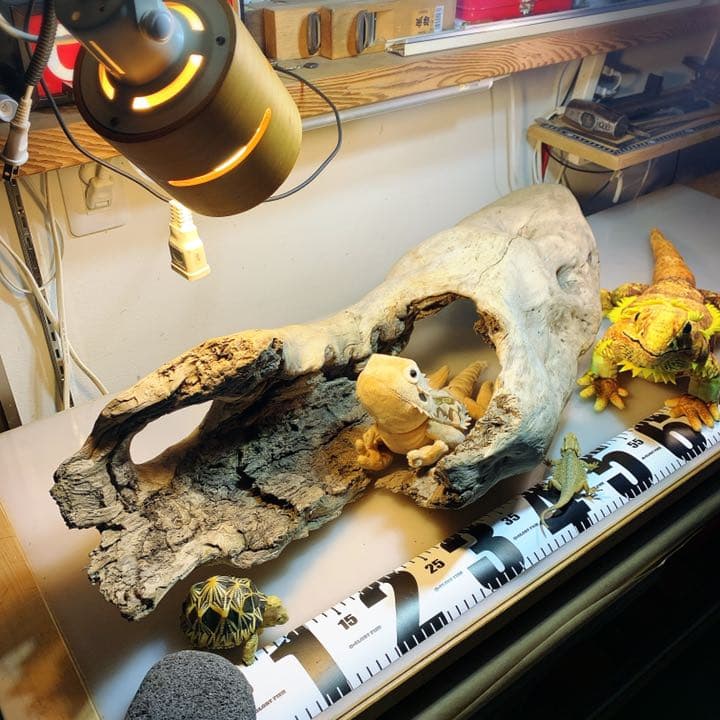 爬虫類等　流木レイアウトご相談ページ