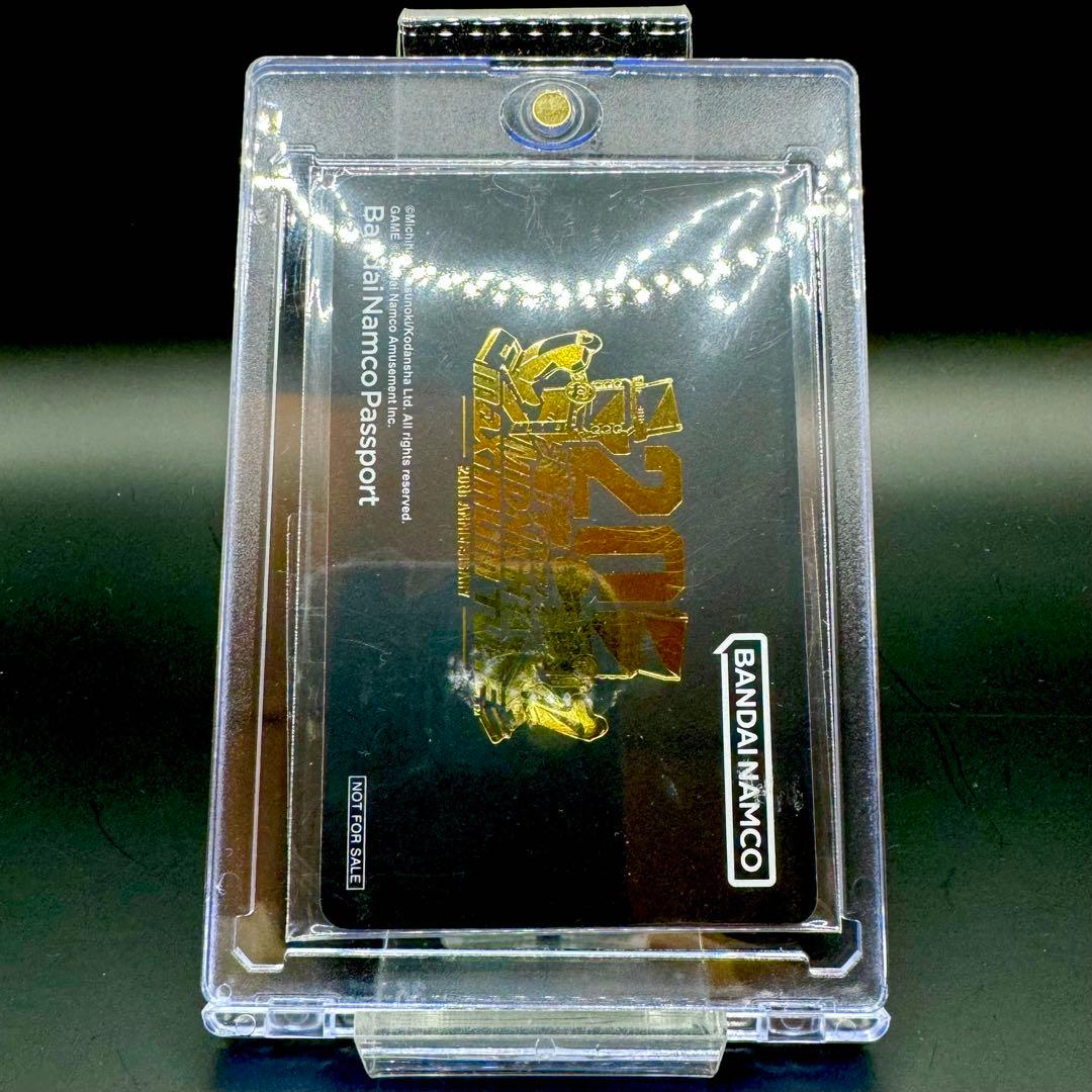 新品未使用 湾岸ミッドナイトマキシマムチューン 20周年記念 バナパスポート 黒