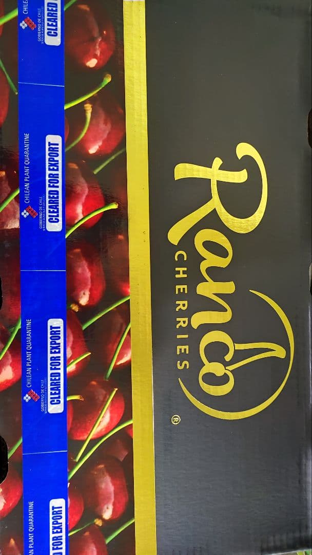 チリ産　チェリー　5キロ