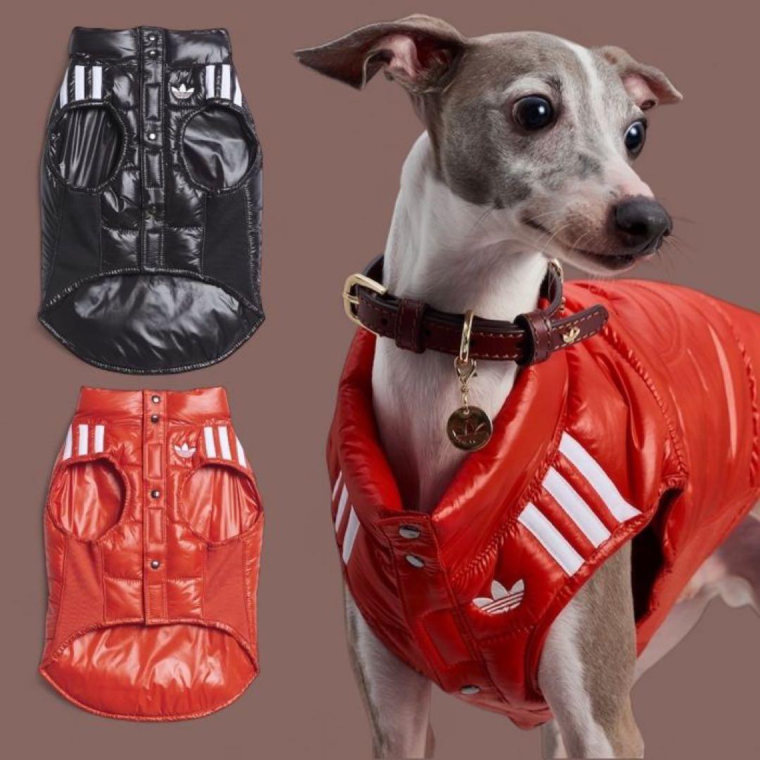 新品 アディダス 犬 猫 ペット adidas pet vest dog cat