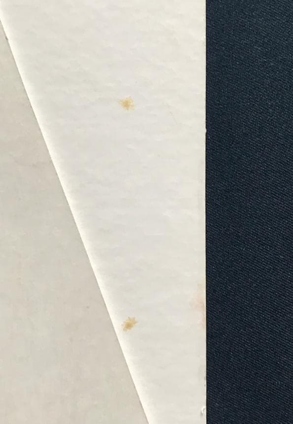 ★ZARD  坂井泉水　直筆「スタンドポップ」